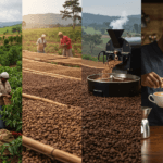 From Bean to Cup: The Fascinating History of Coffee’s Evolution